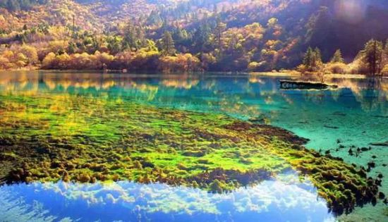 門票那么貴 沒法玩耍了！