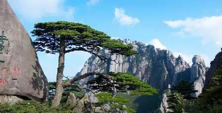 門票那么貴 沒法玩耍了！