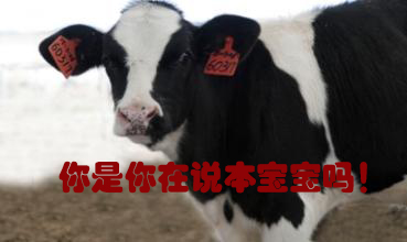 關我什么事！