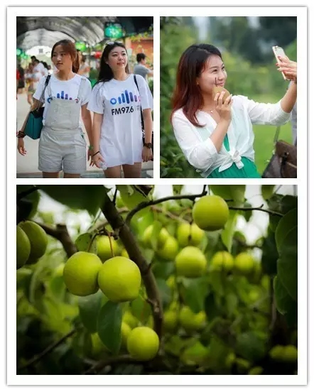 美女與香梨，你更愛(ài)哪一個(gè)？！