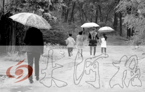 桐柏一村小學16名女生遭老師性侵 多為留守兒童 桐柏一村小學16名女生遭老師性侵 多為留守兒童