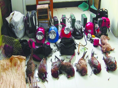 森林警方查獲的部分播放機(jī)、礦燈和獵殺的野生動(dòng)物等
