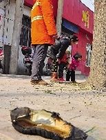 老漢右腿燒傷，樹(shù)下扔了一只燒焦的鞋