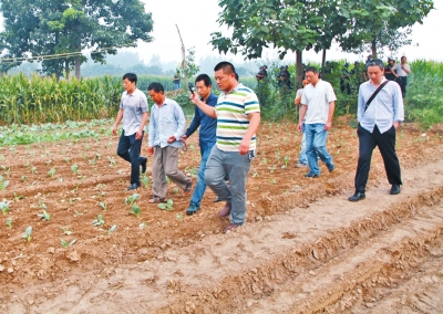 刑警帶嫌疑人司某(左二)在瓜地里指認(rèn)現(xiàn)場(chǎng) 刑警帶嫌疑人司某(左二)在瓜地里指認(rèn)現(xiàn)場(chǎng)