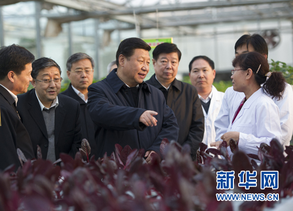  27日下午，習(xí)近平在山東省農(nóng)業(yè)科學(xué)院智能化溫室了解農(nóng)業(yè)科技創(chuàng)新情況。