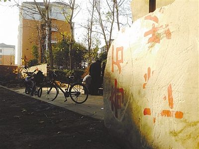 昨日，“上海奇石盆景博物館”原址上，已矗立起小區(qū)樓盤，而刻著博物館名的巨石，廢棄在一旁。本版圖片/新京報記者 張永生 攝