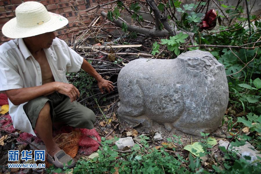 朝陽鎮(zhèn)后李村業(yè)余文保隊員，今年65歲的李連堂在上世紀平整土地時候，從地里挖出一個石羊殘身，至今仍放在