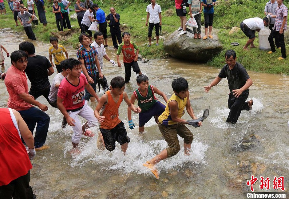 7月9日，村民在小河里摸魚搶魚。譚凱興 攝