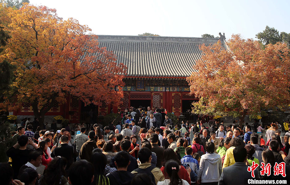 　10月26日，北京香山公園內(nèi)游客摩肩接踵。