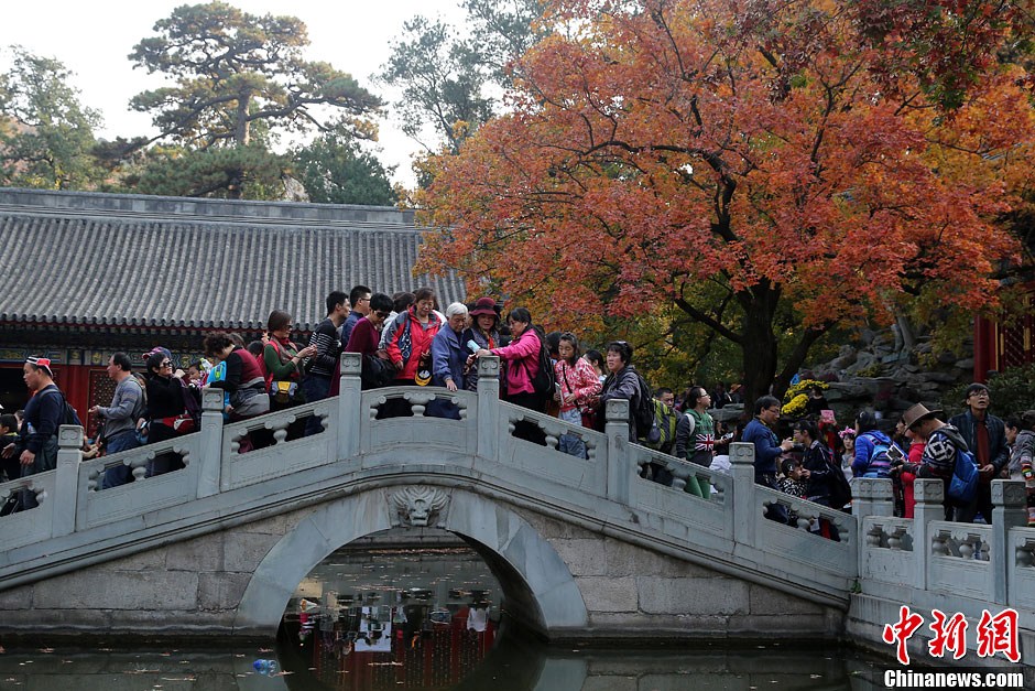 　10月26日，北京香山公園內(nèi)游客摩肩接踵。