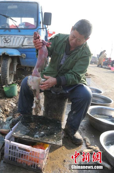 圖為12月1日，104國道靜海縣城附近，顧客挑好后，商販拎著死兔將皮完整地扒下來。田寶希 攝 圖片來