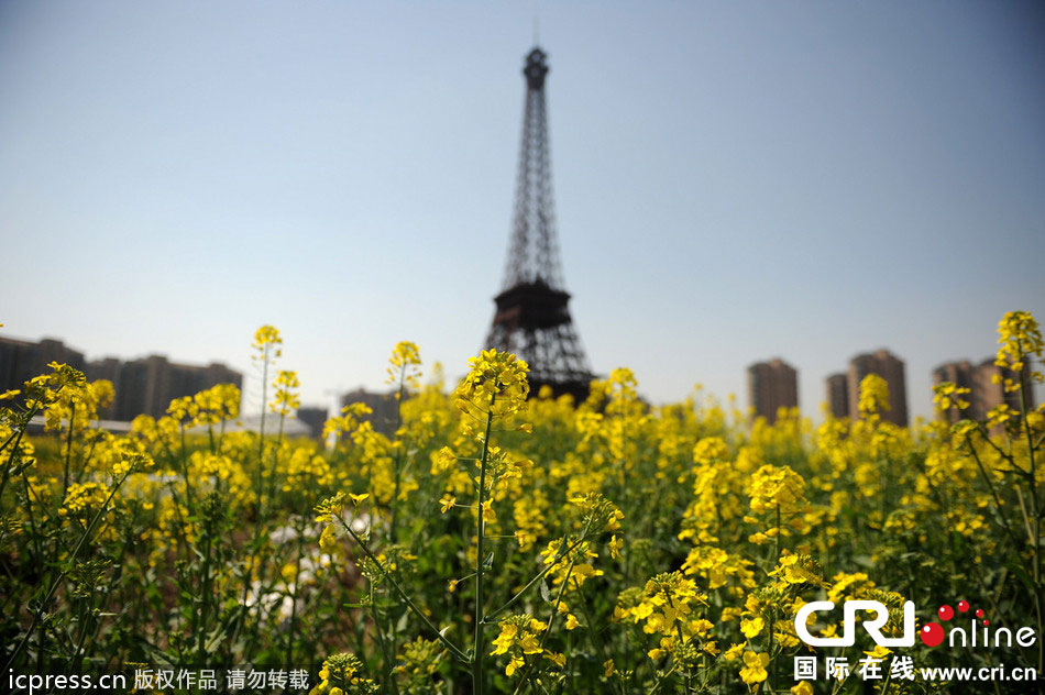 　2014年3月21日，杭州天都城，農(nóng)民在山寨埃菲爾鐵塔下耕作。圖片來(lái)源：東方IC