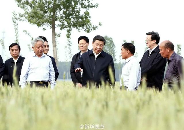 習近平走進糧田,看麥穗灌漿,問農(nóng)田建設。