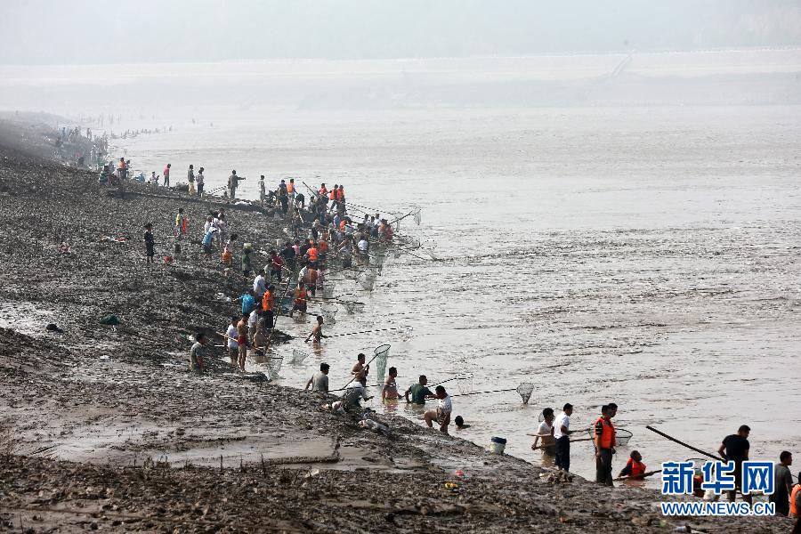 7月6日,在山西省平陸縣黃河岸邊,人們在河邊捕撈黃河“流魚”。