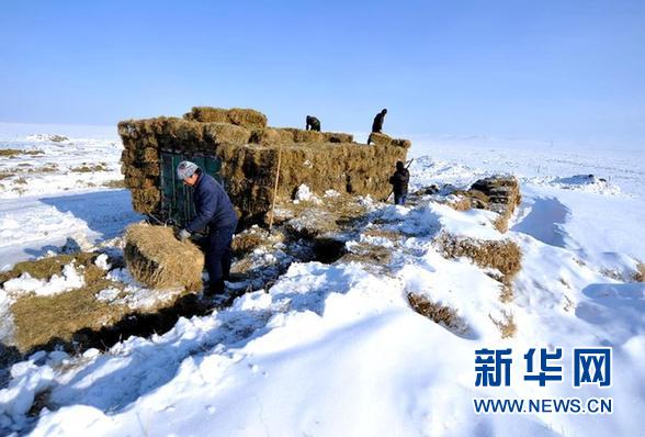 直擊內(nèi)蒙古錫林郭勒盟罕見(jiàn)“鐵災(zāi)”救助十萬(wàn)火急