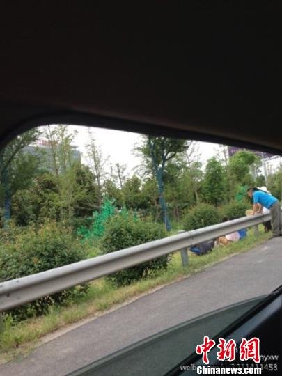 網(wǎng)友質(zhì)疑南京南站輔道種假樹 市委書記當(dāng)晚批示徹查 網(wǎng)友質(zhì)疑南京南站輔道種假樹 市委書記當(dāng)晚批示徹查