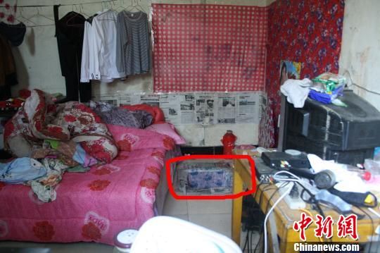 圖上紅圈內(nèi)為嫌犯所挖地窖入口。 吳佳蔚 攝