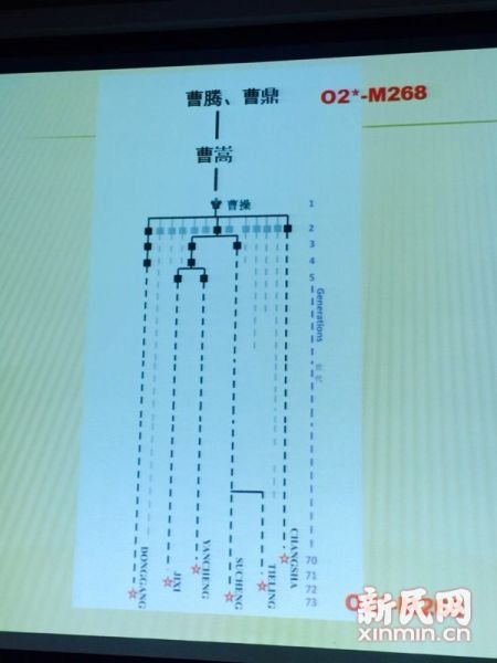 圖說(shuō)：復(fù)旦課題組發(fā)布曹操家族DNA研究結(jié)果。新民網(wǎng) 記者 李欣 攝
