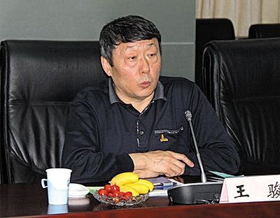 國家能源局新能源和可再生能源司司長王駿。