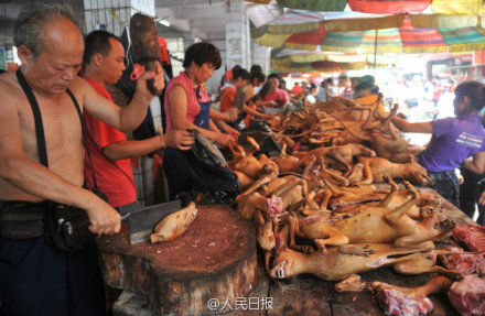 玉林狗肉節(jié)。