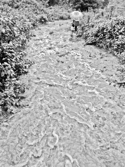 梅子回家的山道，晴天是路，雨天是河