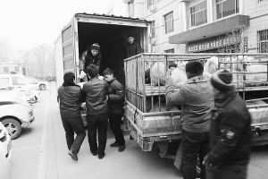 　　■返還追回的被搶綿羊。 本報記者董世杰攝