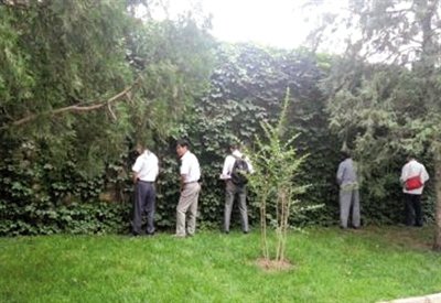 頤和園綠地內數(shù)十游客小便引外國游客拍照
