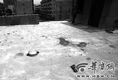 藏獒就養(yǎng)在這個樓頂，孩子從欄桿處墜落 本報記者 趙航 攝