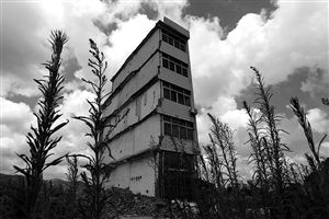 這幢5層的“片片樓”周圍已是一片拆遷后的廢墟，左邊的一堵墻上，不少鋼筋裸露在外面 圖片來源：新華網(wǎng)