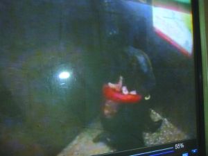 男子將侯某撲倒，侯某反抗。