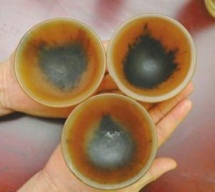 28歲女演員在網(wǎng)上賣(mài)犀牛角一天凈賺32萬(wàn)(圖)