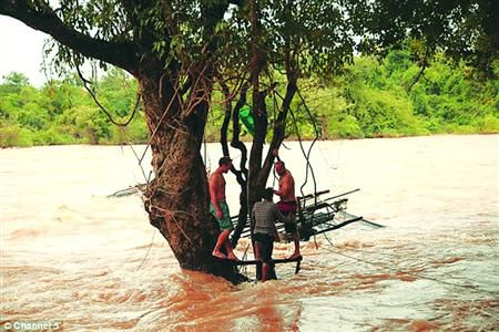 蓋屋、種菜，“從沒這樣快樂”