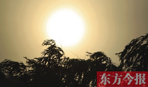 五月十四日，傍晚時分，鄭州的天空再次被沙塵遮蓋