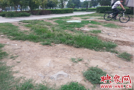 公園內(nèi)大片草坪遭到破壞。