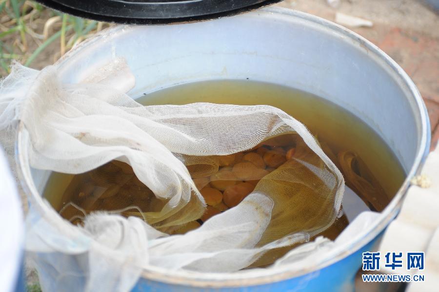 地下水成“綠茶”　污染二十多年該誰治？
