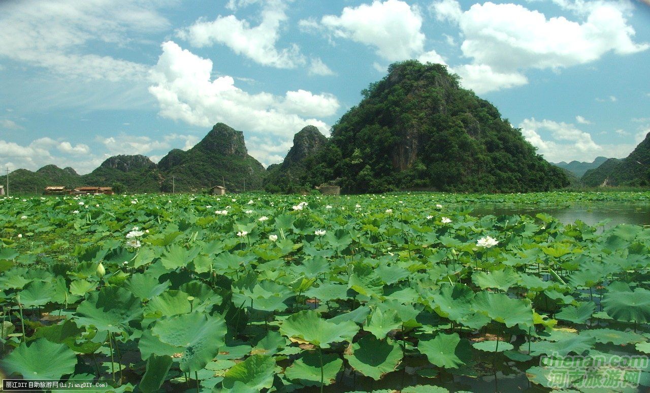 爸爸去哪兒？親密接觸荷花仙子
