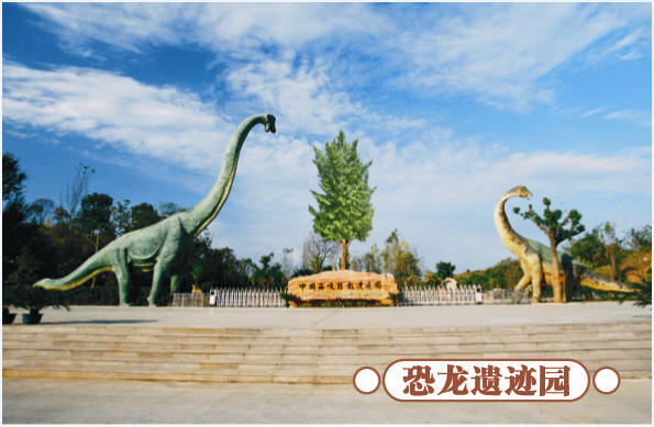 圣誕去哪兒？省內(nèi)歡樂地推薦