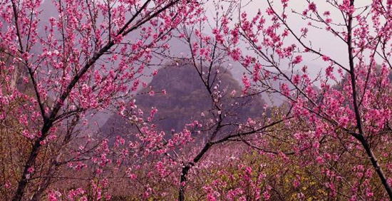 撿垃圾換玫瑰 女人節(jié) 愛在神農(nóng)山！