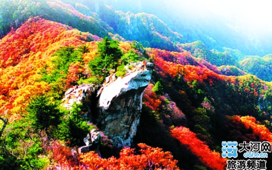 團(tuán)圓祈福獻(xiàn)孝心 父母免費游堯山