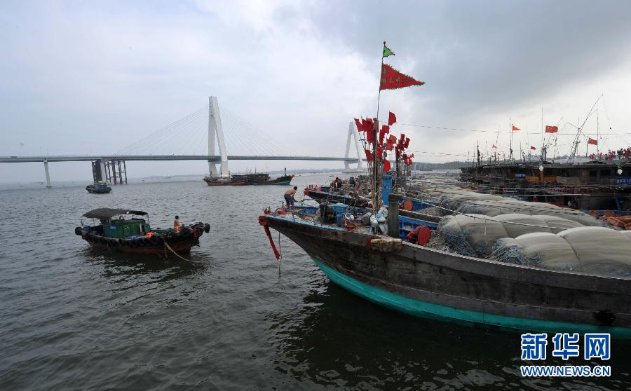 海南嚴陣以待防抗臺風“百合”(圖)