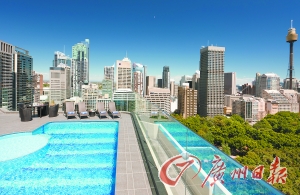 酒店屋頂游泳池俯瞰公園美景。