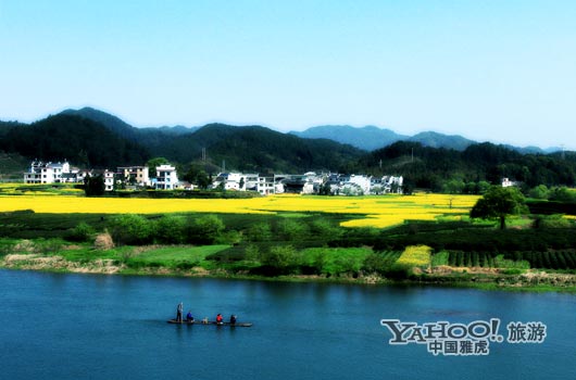 　　婺源號稱是中國最美麗的鄉(xiāng)村,她最美麗的季節(jié)是三月中下旬。(圖片來源:CFP)