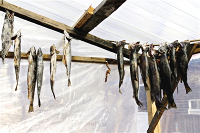 長白山腳下一家小餐館內(nèi)晾曬的冷水魚。