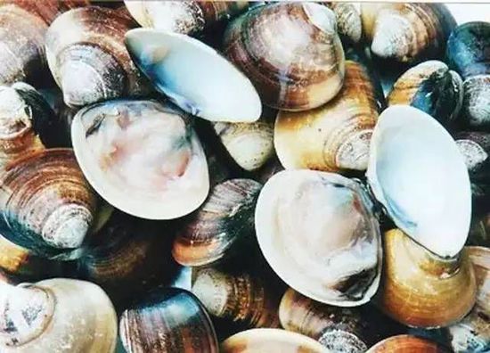 秋季最適合吃的海鮮是這10種 你吃對(duì)了嗎？