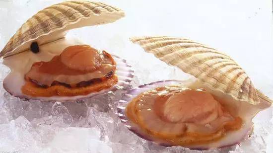 秋季最適合吃的海鮮是這10種 你吃對(duì)了嗎？
