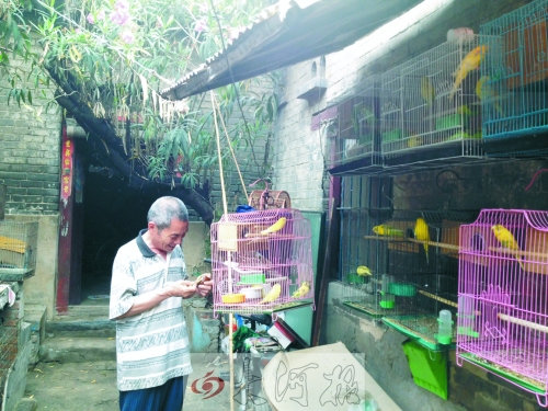 郭家大院的看護(hù)人郭天育老人在給鸚鵡喂食，對大院，他很不舍。