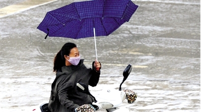 昨日下午，隴海路上，雨中風(fēng)大，一位女士的傘被吹翻了。
