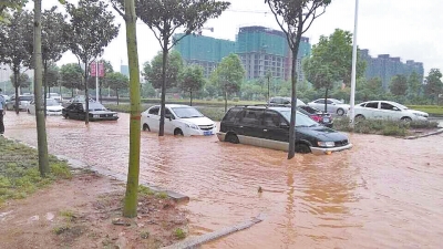 昨日，信陽突降暴雨，路面積水已淹沒輪胎。首席記者 何正權(quán) 通訊員 楊小燕 攝影
