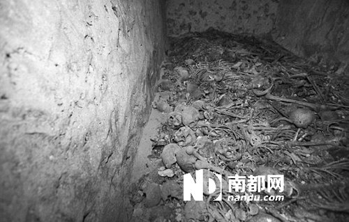 　5月29日，在以色列特拉維夫市雅法地區(qū)，一處集體墳?zāi)贡话l(fā)現(xiàn)。
