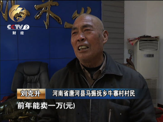 他告訴記者最多的一年曾經(jīng)賣過(guò)一萬(wàn)元錢現(xiàn)在由于種植面積減少收入也下降了很多 他告訴記者最多的一年曾經(jīng)賣過(guò)一萬(wàn)元錢現(xiàn)在由于種植面積減少收入也下降了很多